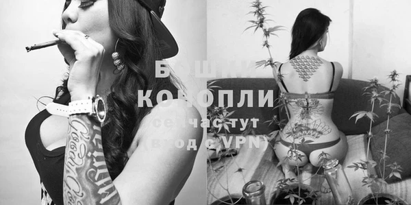 spice Беломорск