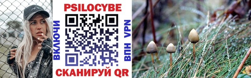 Псилоцибиновые грибы мицелий  цены   Улан-Удэ 